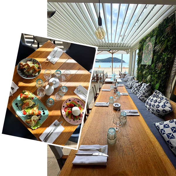 Le restaurant - L'Albatros - Restaurant Saint-Cyr-sur-Mer - bon restaurant SAINT-CYR-SUR-MER